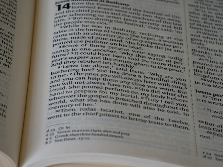 Photo Baby name book