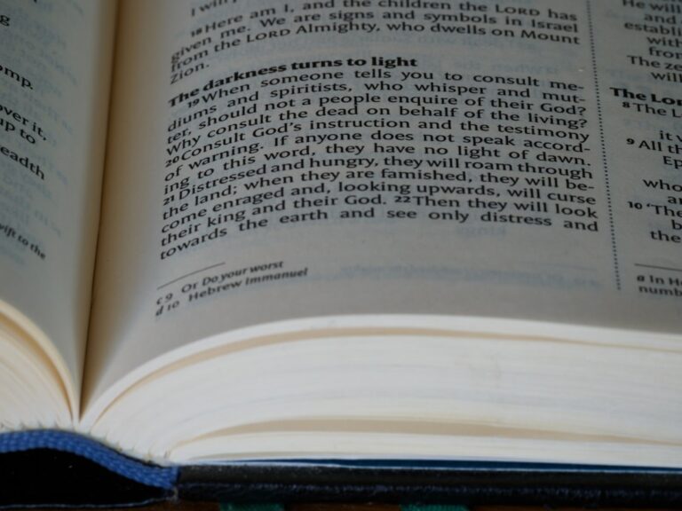 Photo Baby name book