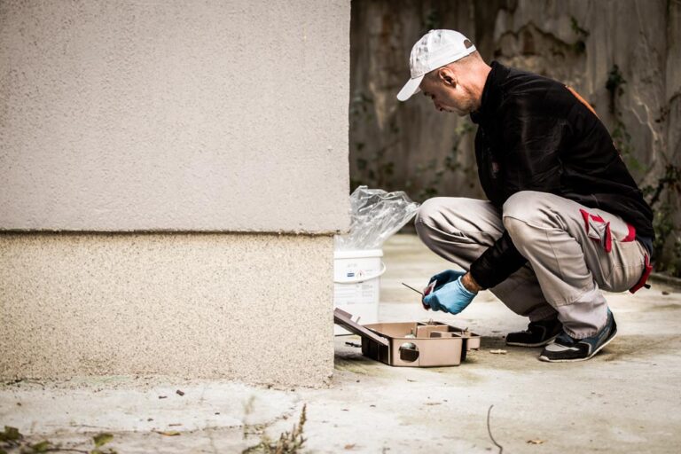 2-DDD Nord - deratizare