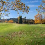 Photo developmental delay