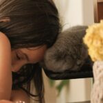 Photo parental fatigue