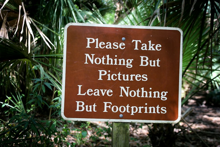 responsibility