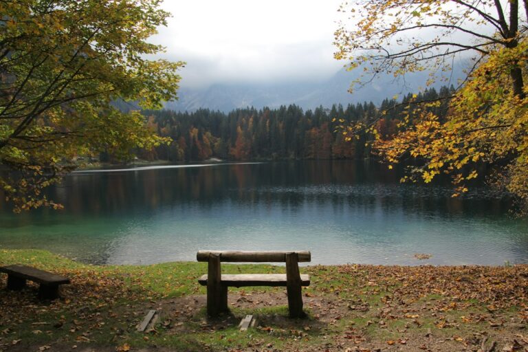 Photo calmness