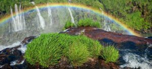Photo explain nature phenomena