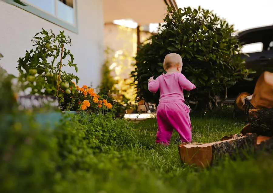 Photo early childhood development milestones